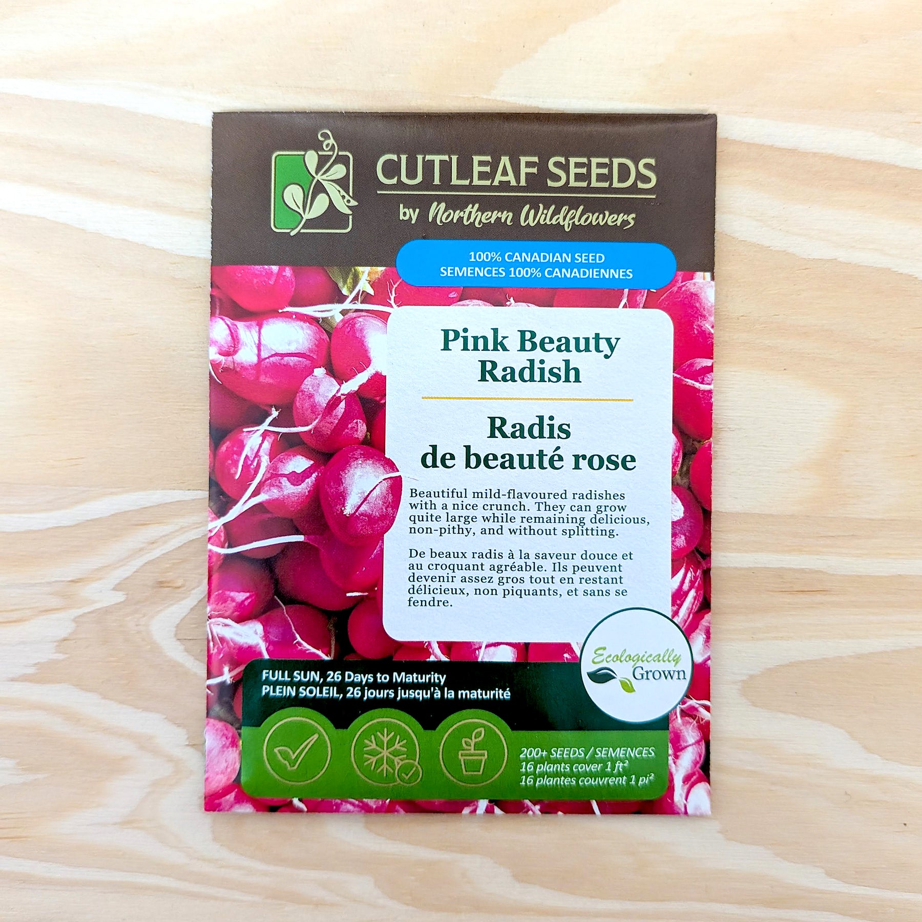 Radis, de beauté rose 