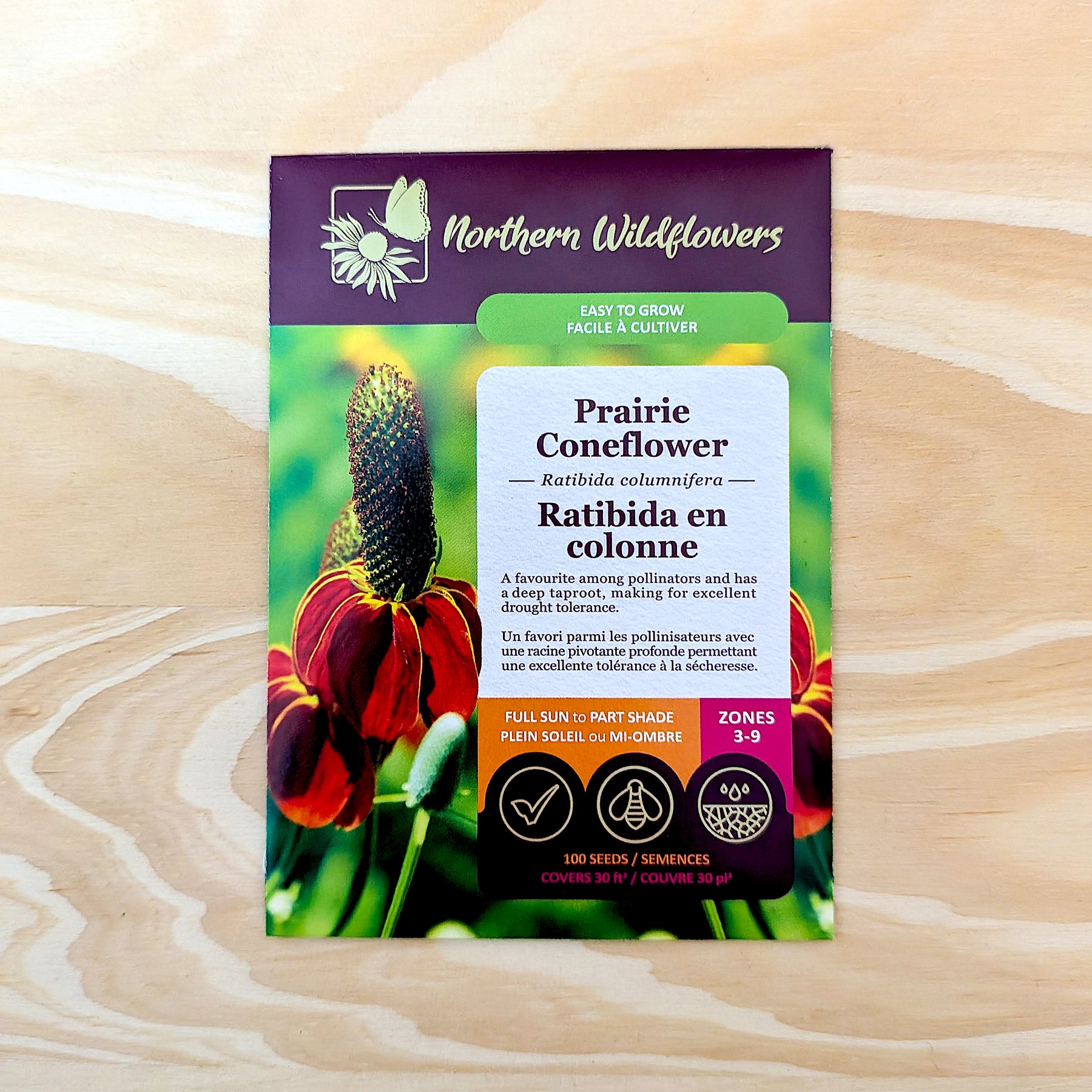 Prairie Coneflower