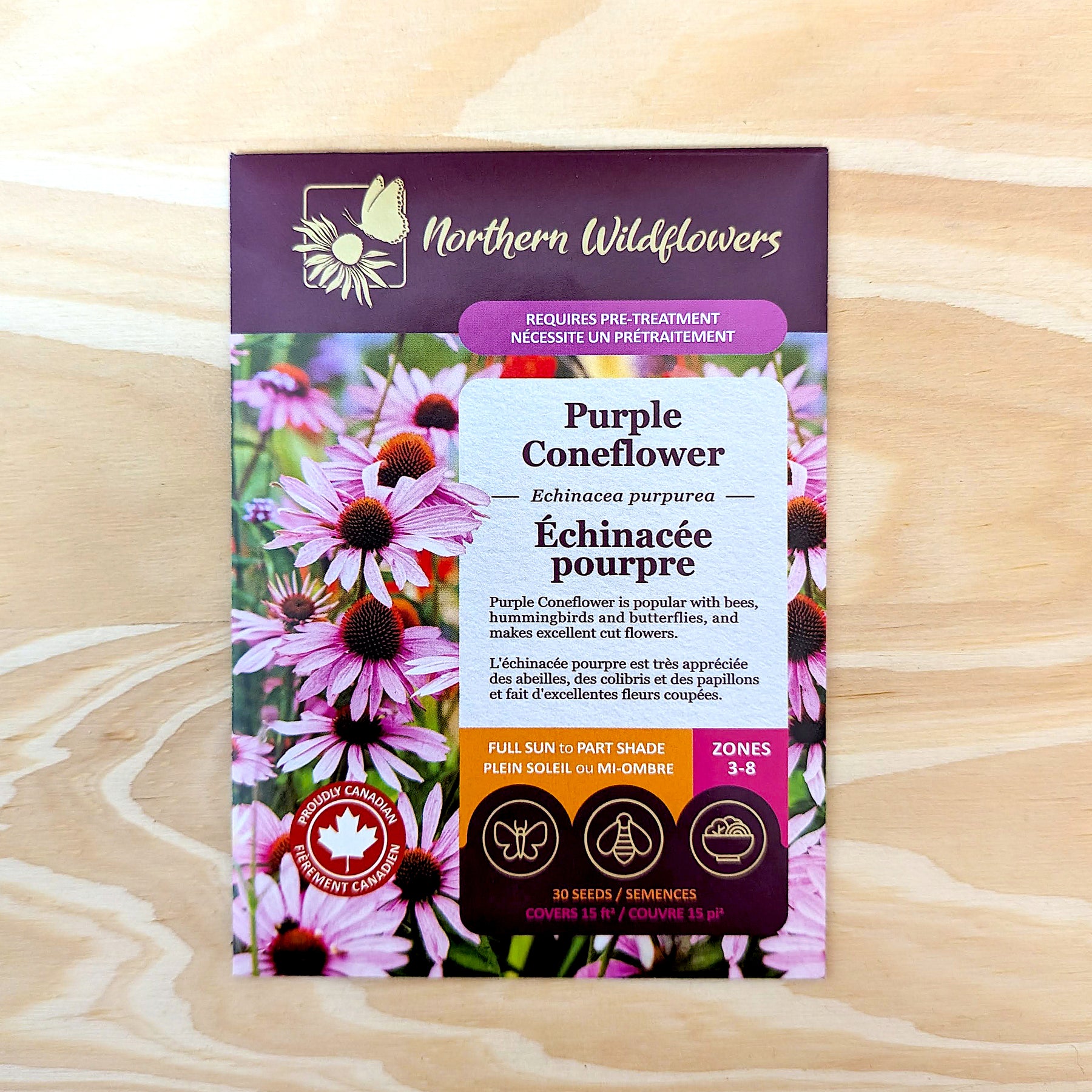 Purple Coneflower