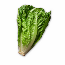 Load image into Gallery viewer, Lettuce, Parris Island Romaine
