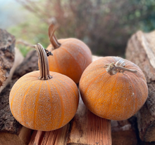 Load image into Gallery viewer, Pumpkin, Winter Luxury Pie