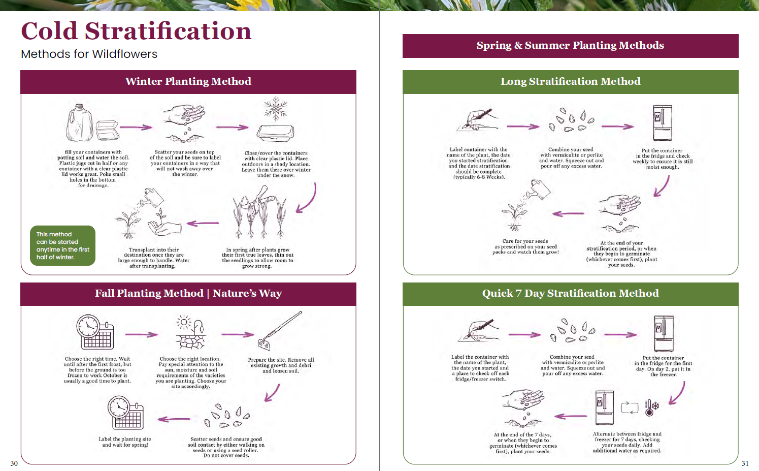 Vermiculite For Cold Stratification