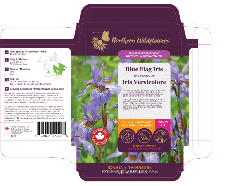 Northern Blue Flag Iris