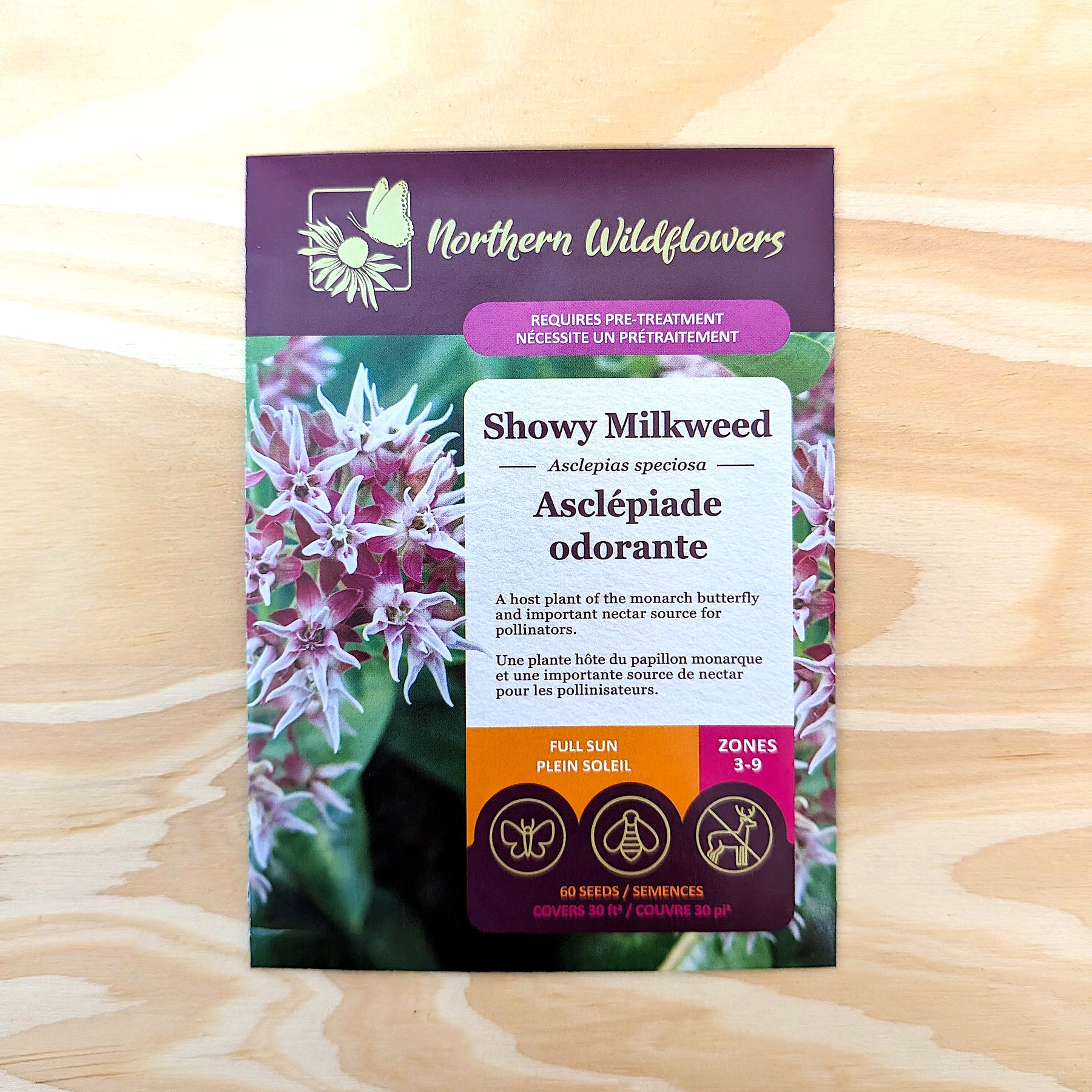 Showy Milkweed