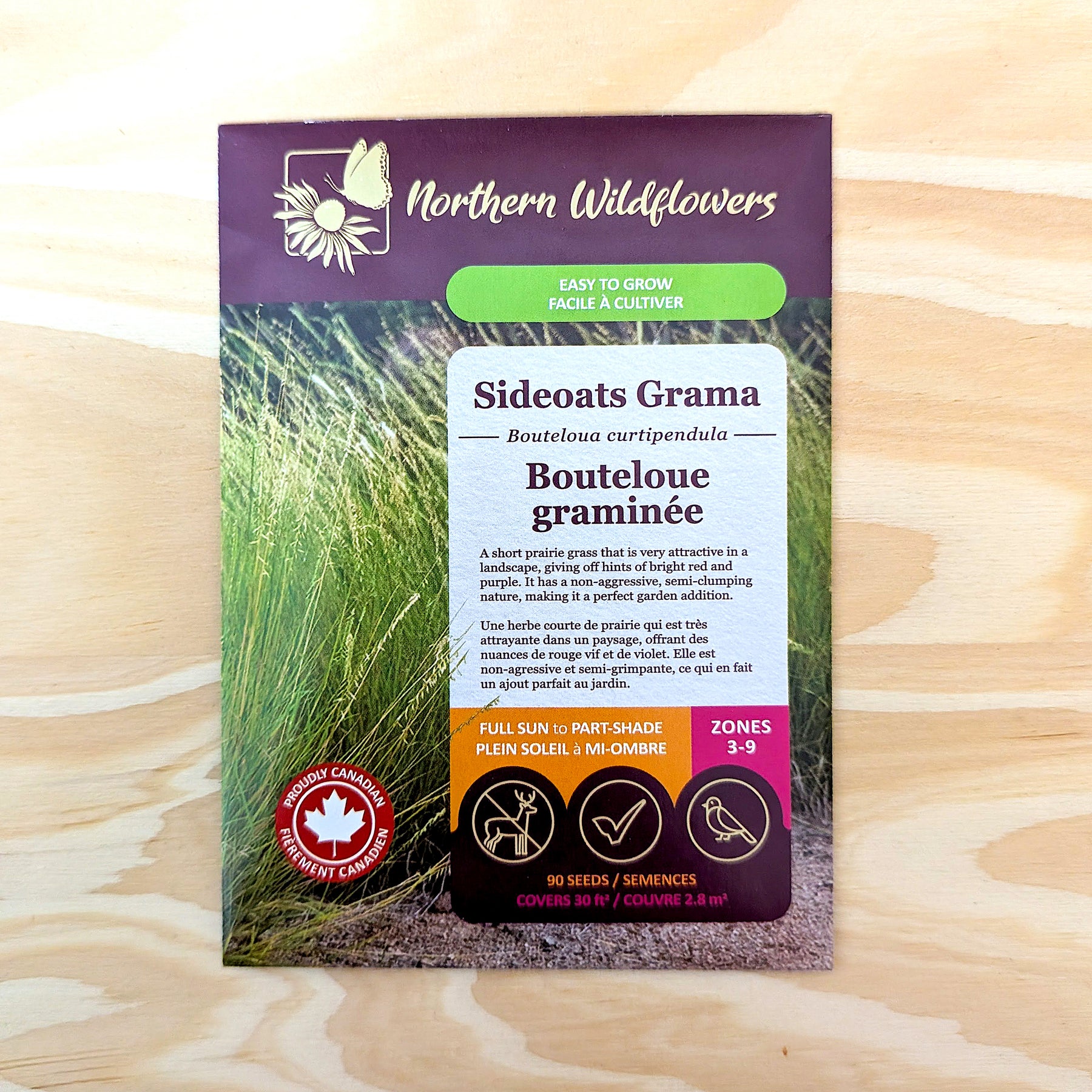 Sideoats Grama