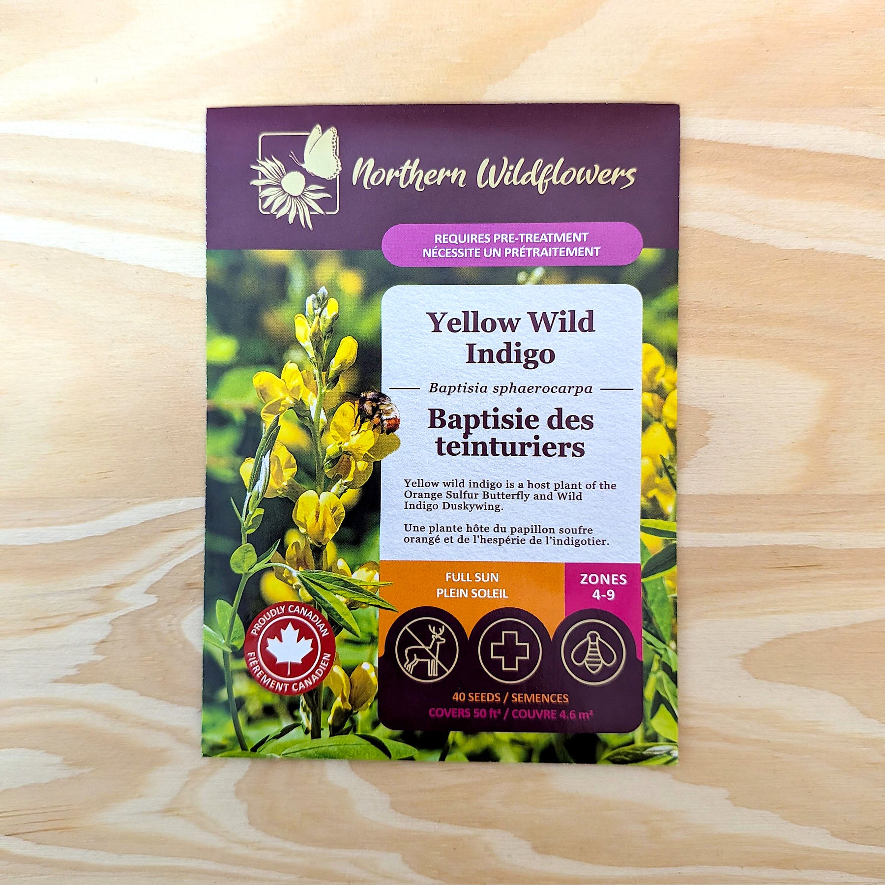 Yellow Wild Indigo