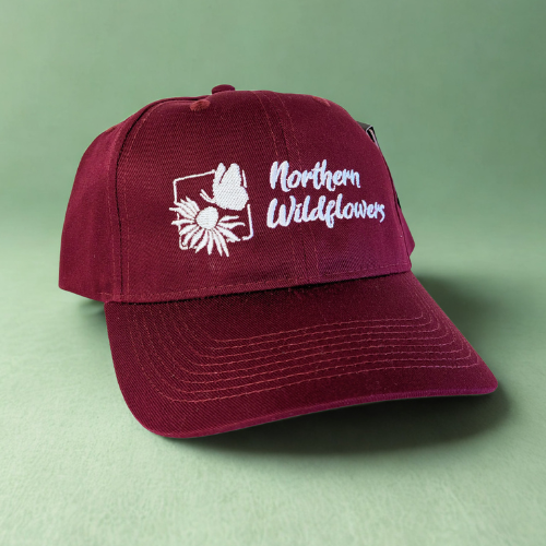 Embroidered Logo Hat