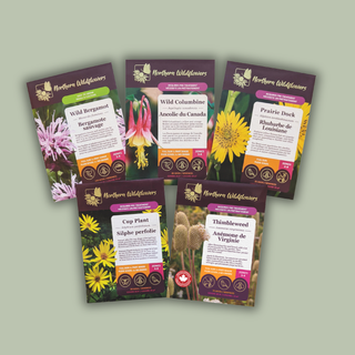 For the Birds Wildflower Collection