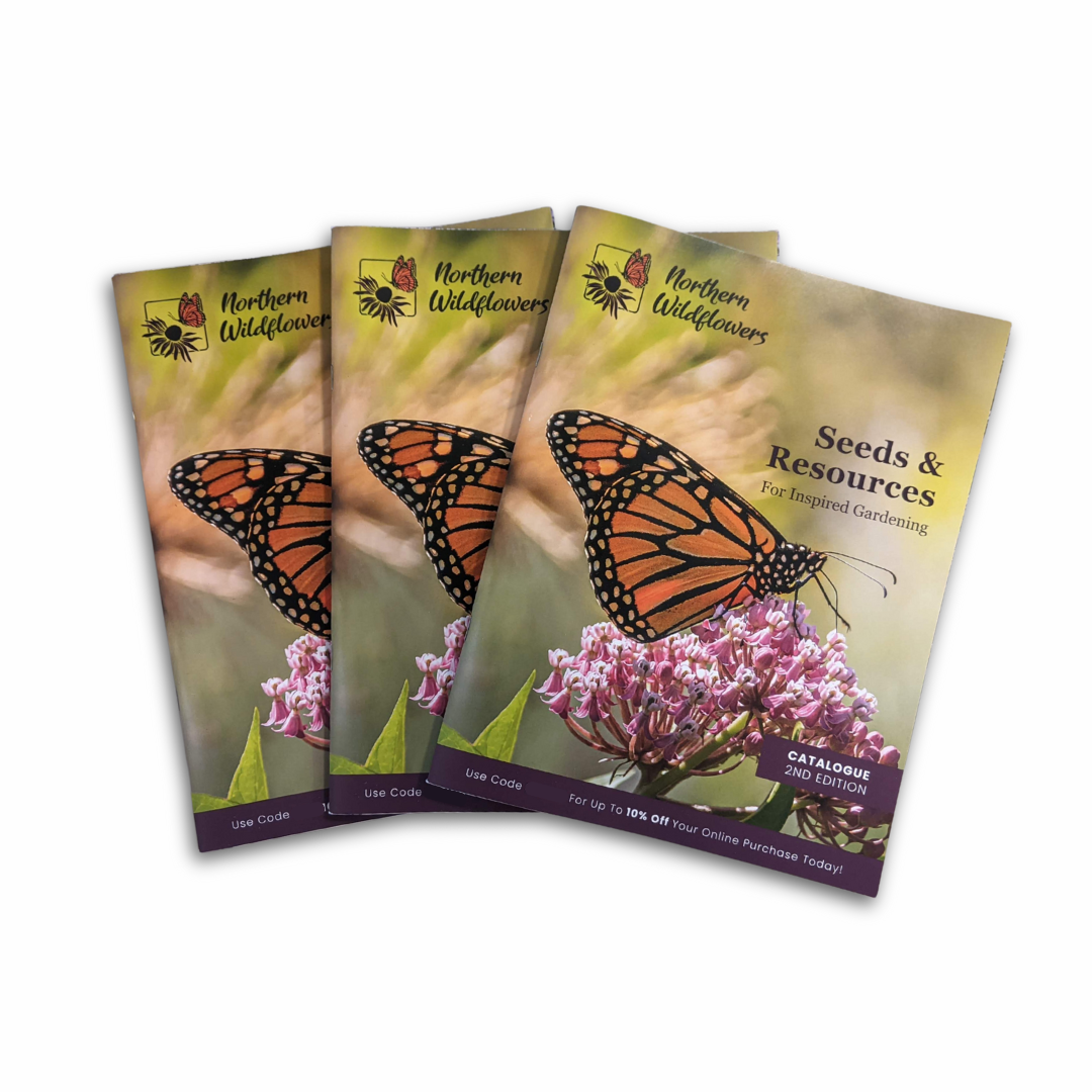 garden organic seed catalogue 2026 Seed Catalogue – Northern Wildflowers
