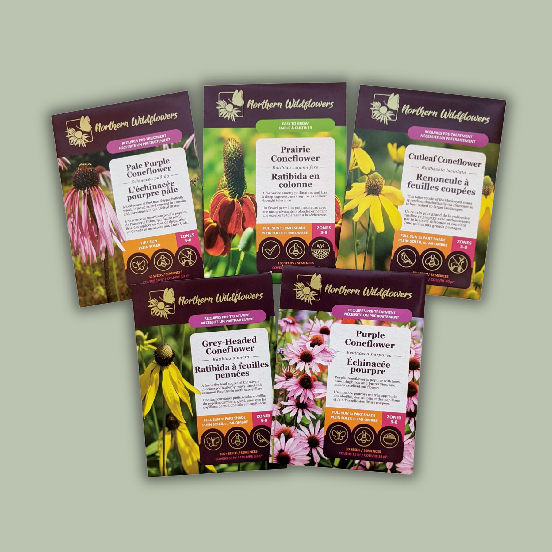 Coneflower Collection