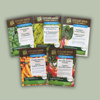 Container Collection