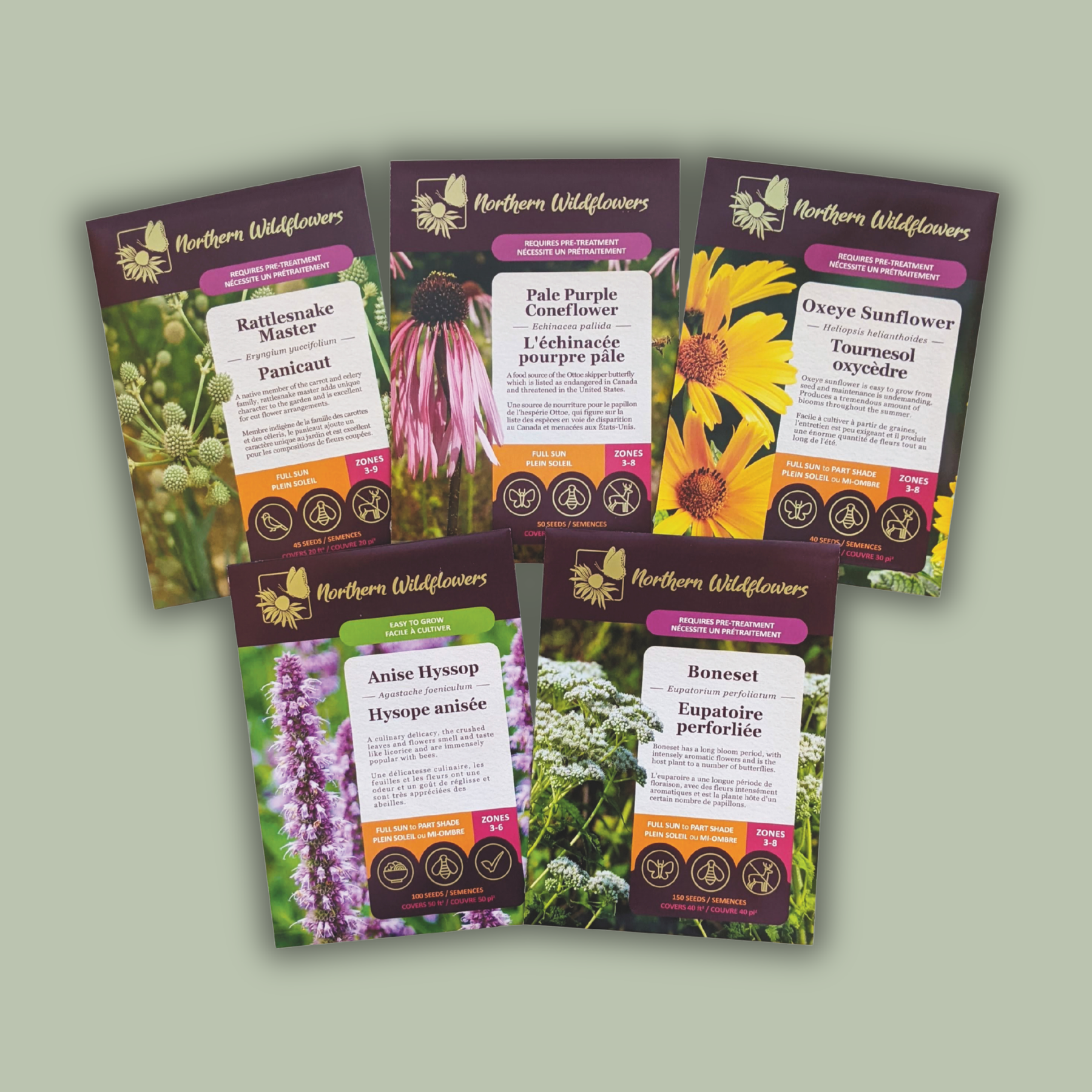 Cut Flowers Collection