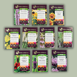 Easy To Grow Wildflower Collection