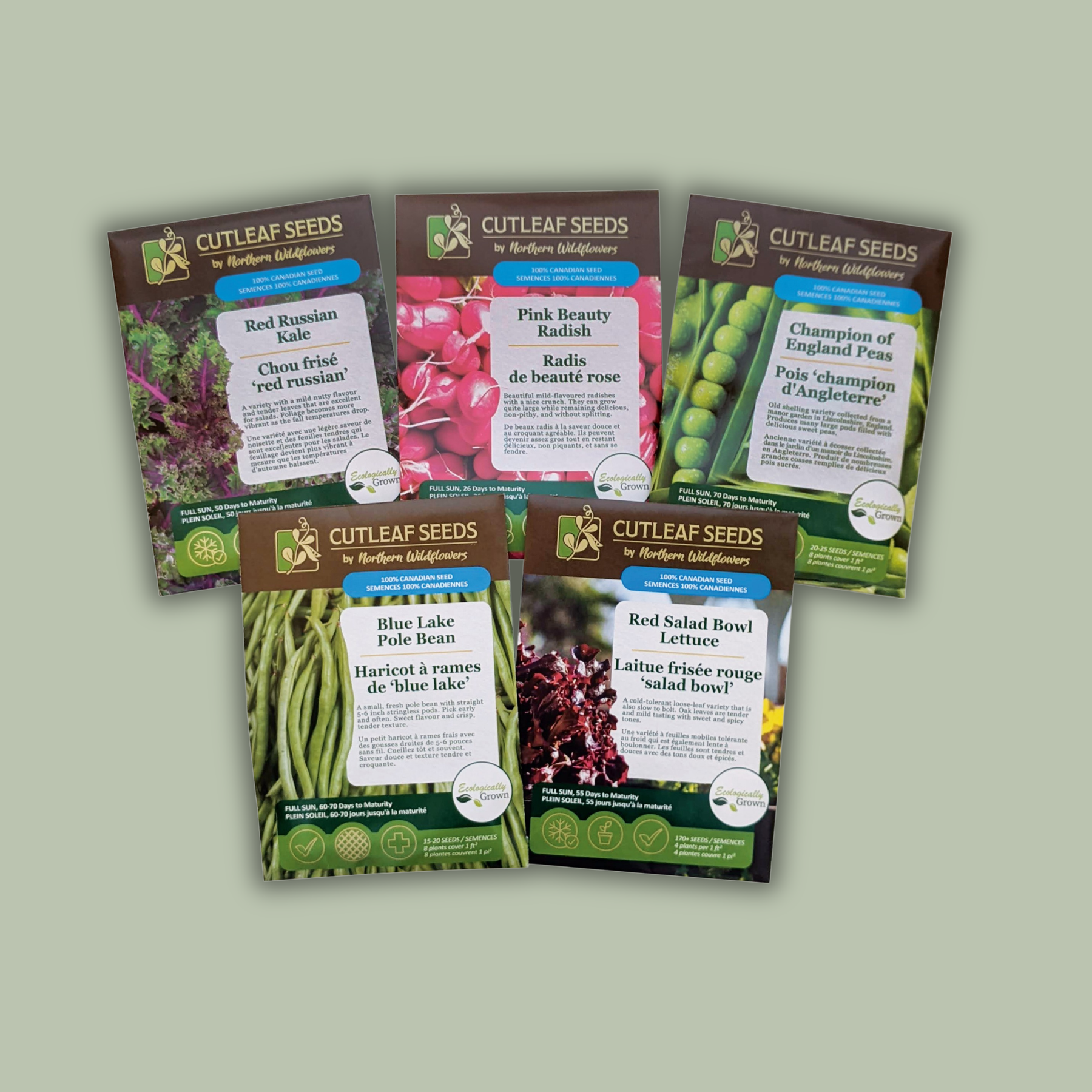 Easy to Grow Vegetable Collection