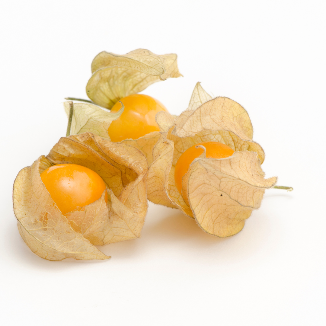 Ground Cherry