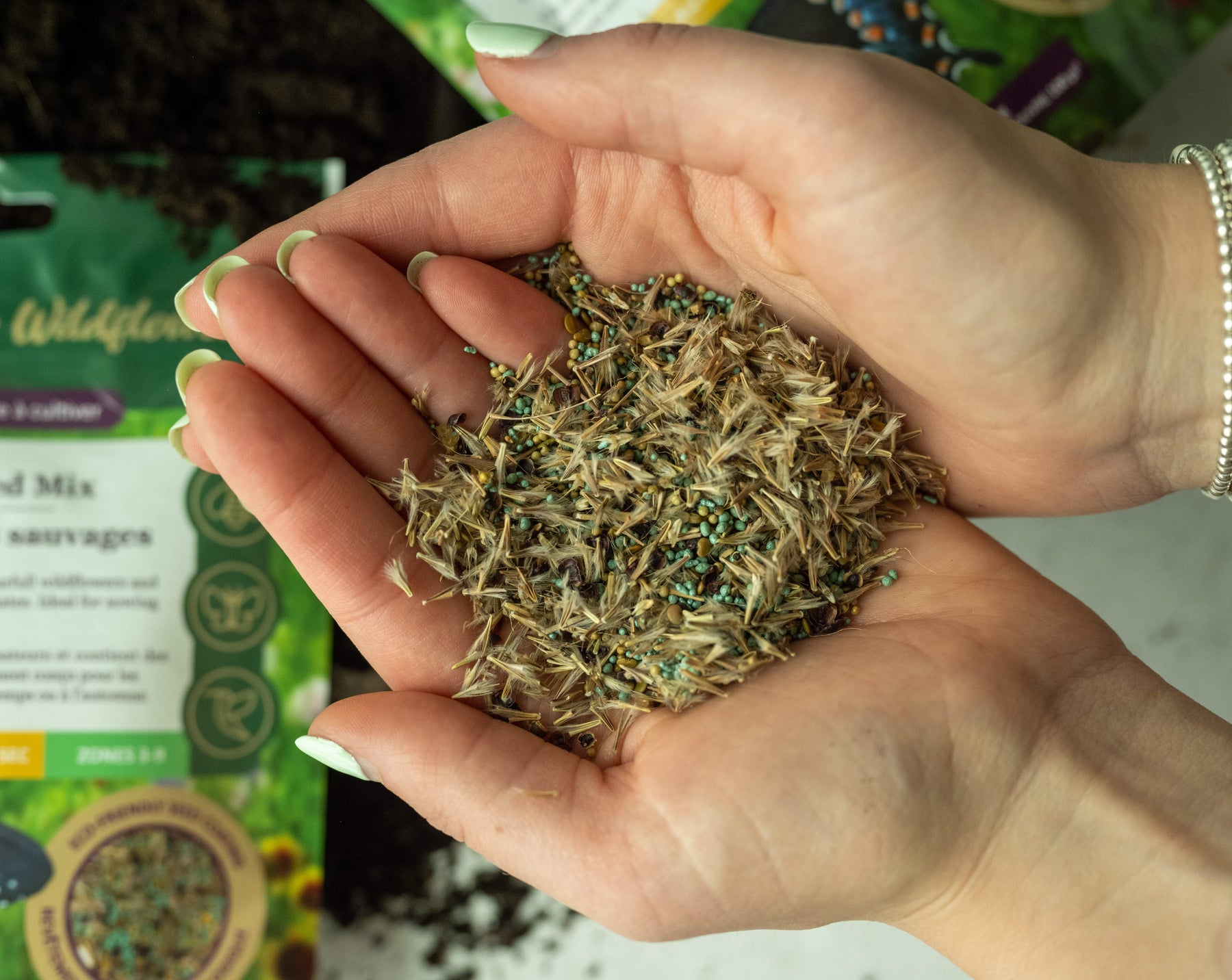 Easy to Grow Wildflower Seed Mix