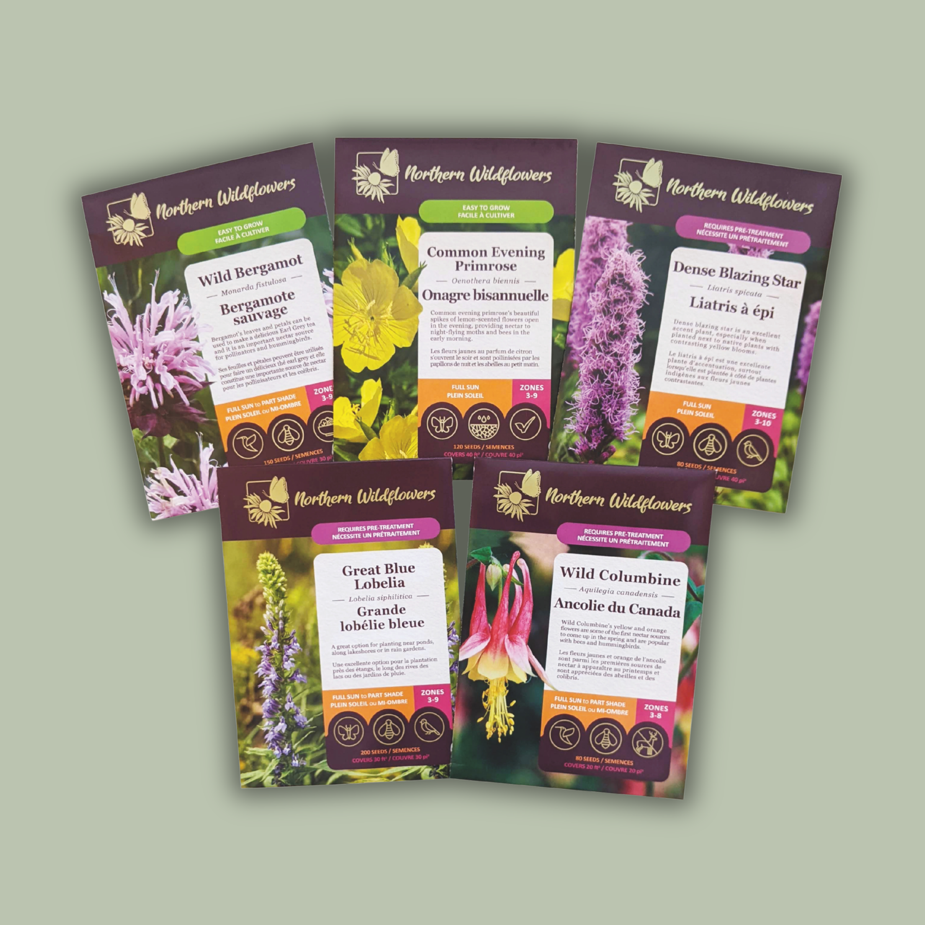 For the Hummingbirds Wildflower Collection