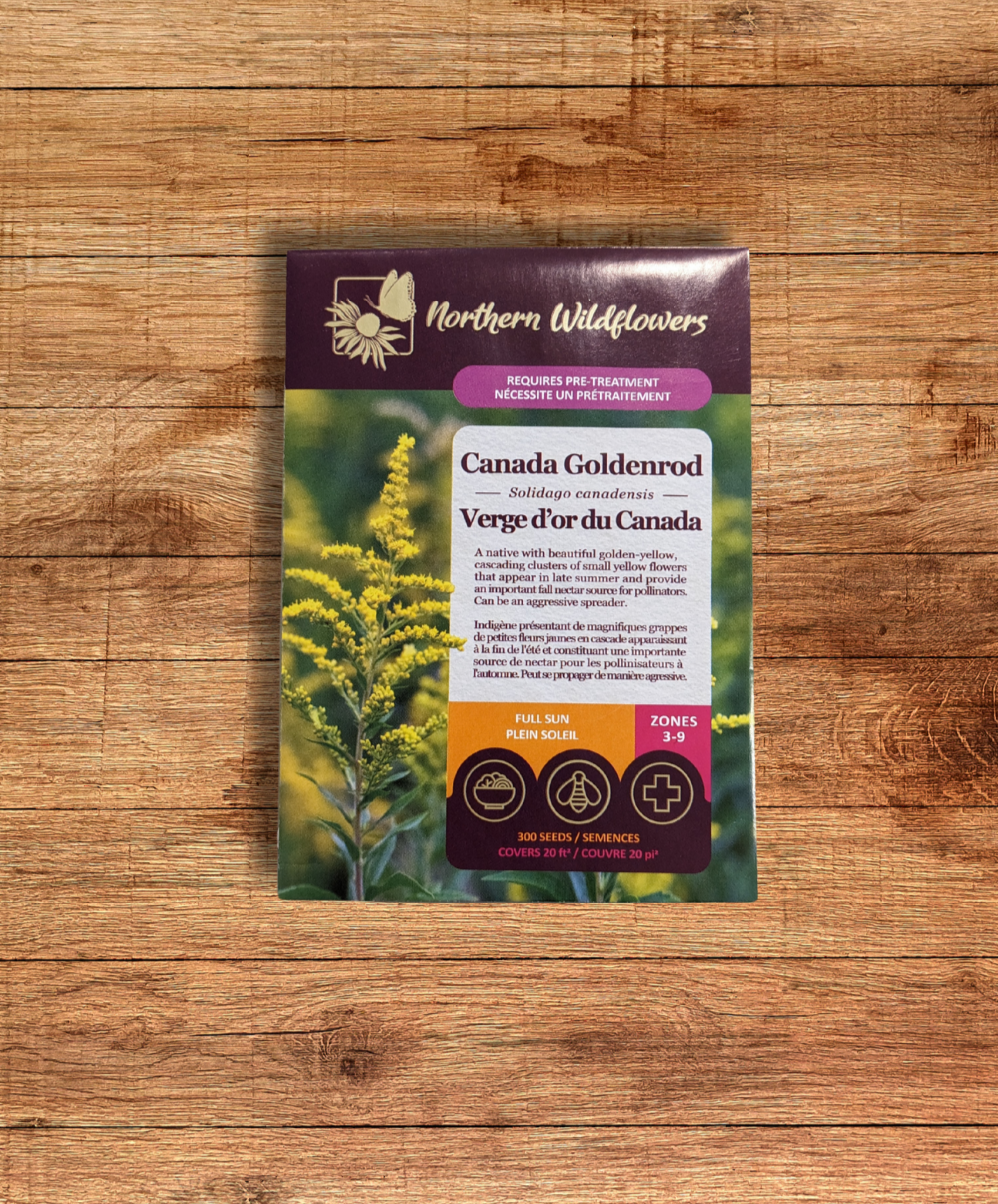 Canada Goldenrod