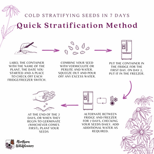 Vermiculite For Cold Stratification