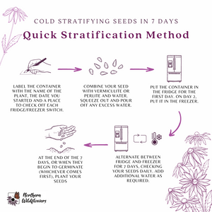 Vermiculite pour stratification à froid