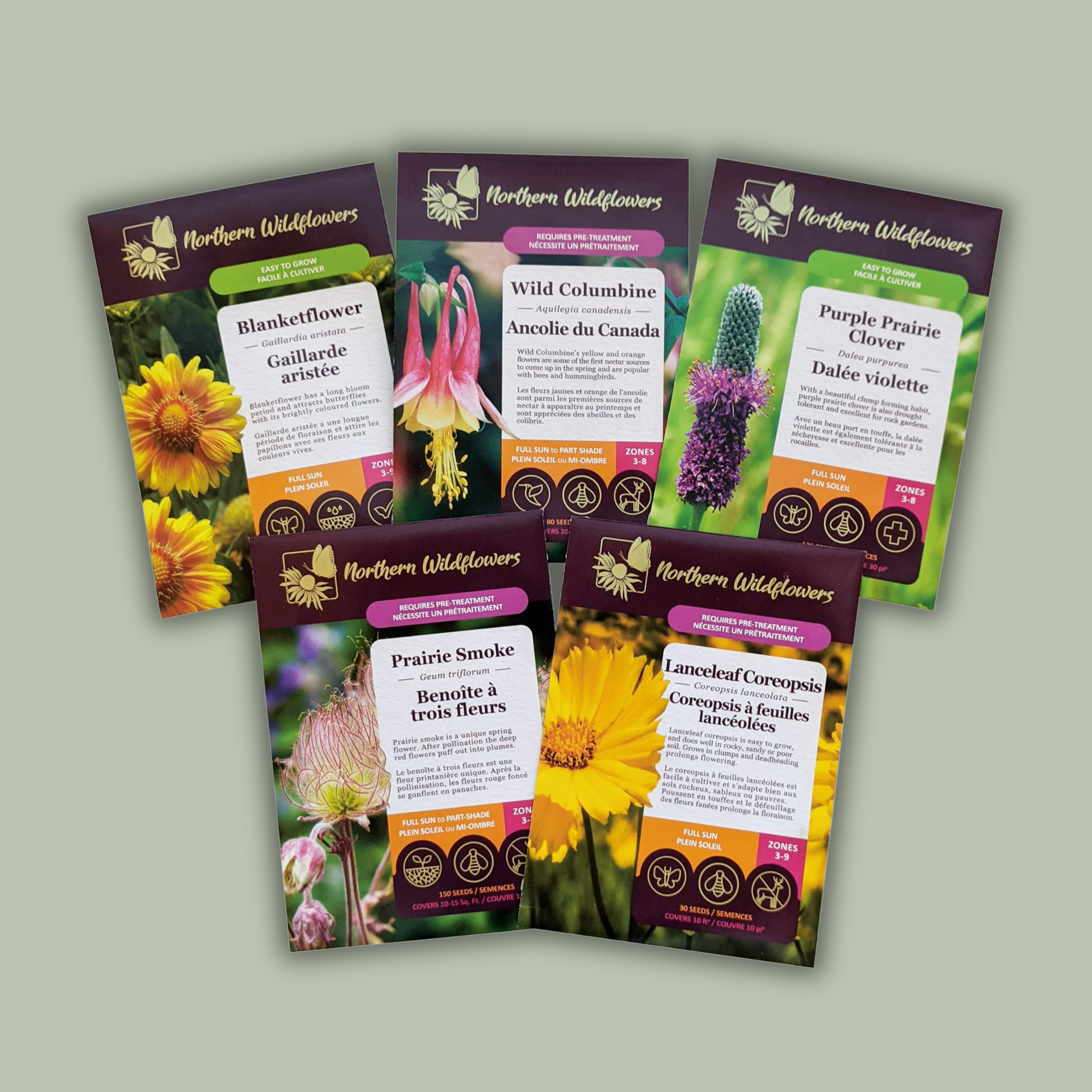 rock garden seeds Rock Garden Wildflower Seed Collection – Northern Wildflowers
