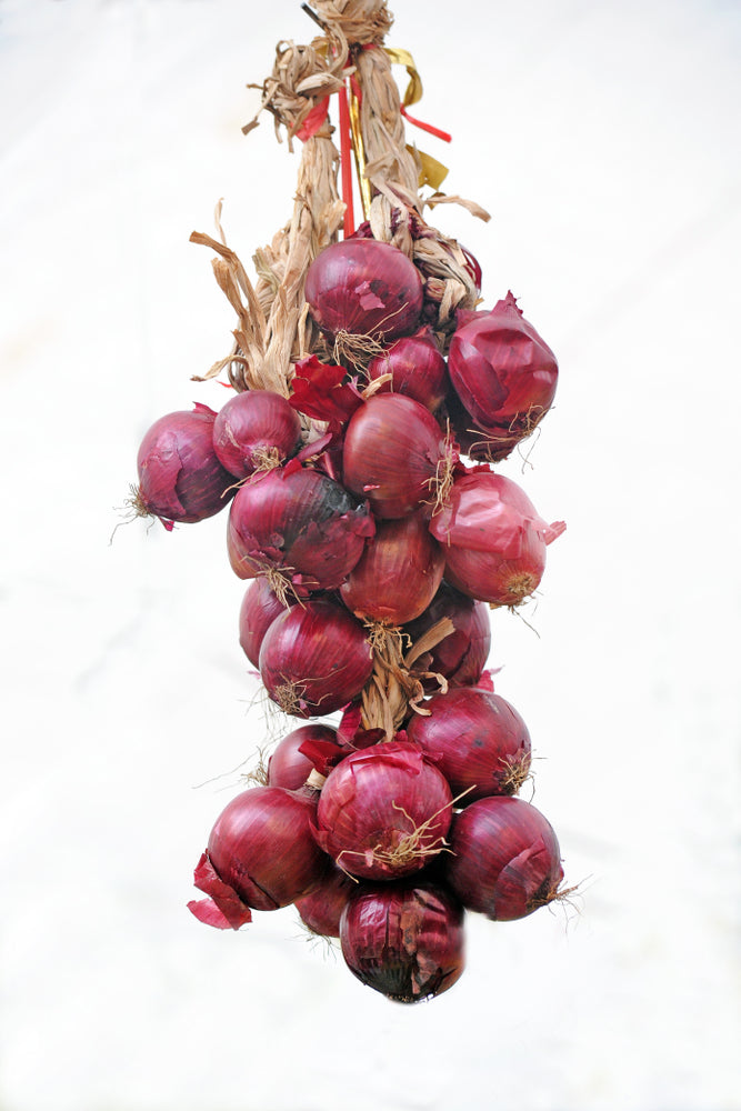 Oignon, Rossa di Milano