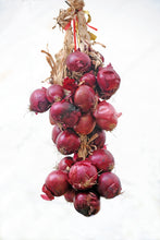 Load image into Gallery viewer, Onion, Rossa di Milano