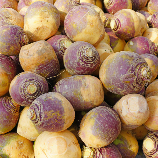 Rutabaga, Helenor Seeds