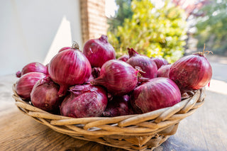 Onion, Rossa di Milano
