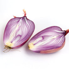 Load image into Gallery viewer, Onion, Rossa di Milano