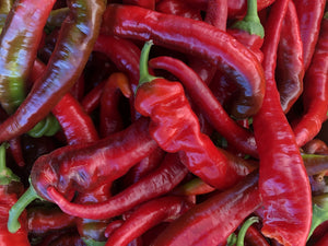 Peppers, Jimmy Nardello