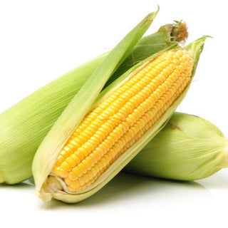 Corn, Golden Bantam Seeds