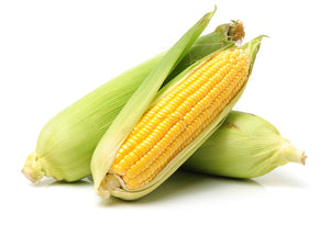 Corn, Bantam Corn