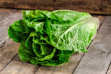 Load image into Gallery viewer, Lettuce, Parris Island Romaine