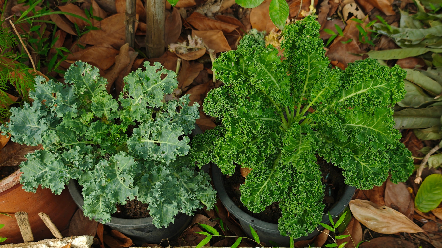 Collecte de conteneurs