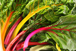 Swiss Chard, Rainbow