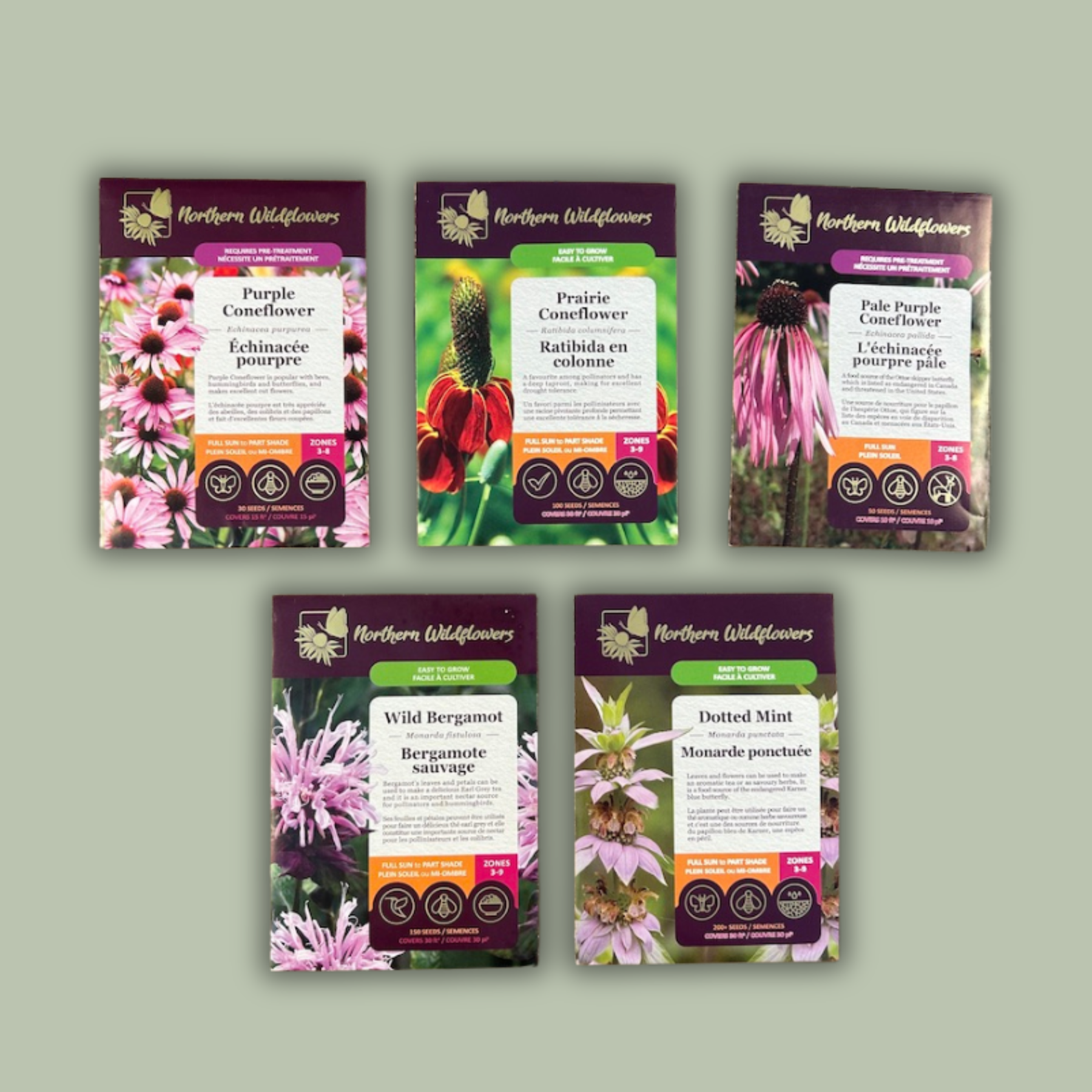 Wild Tea Seed Collection