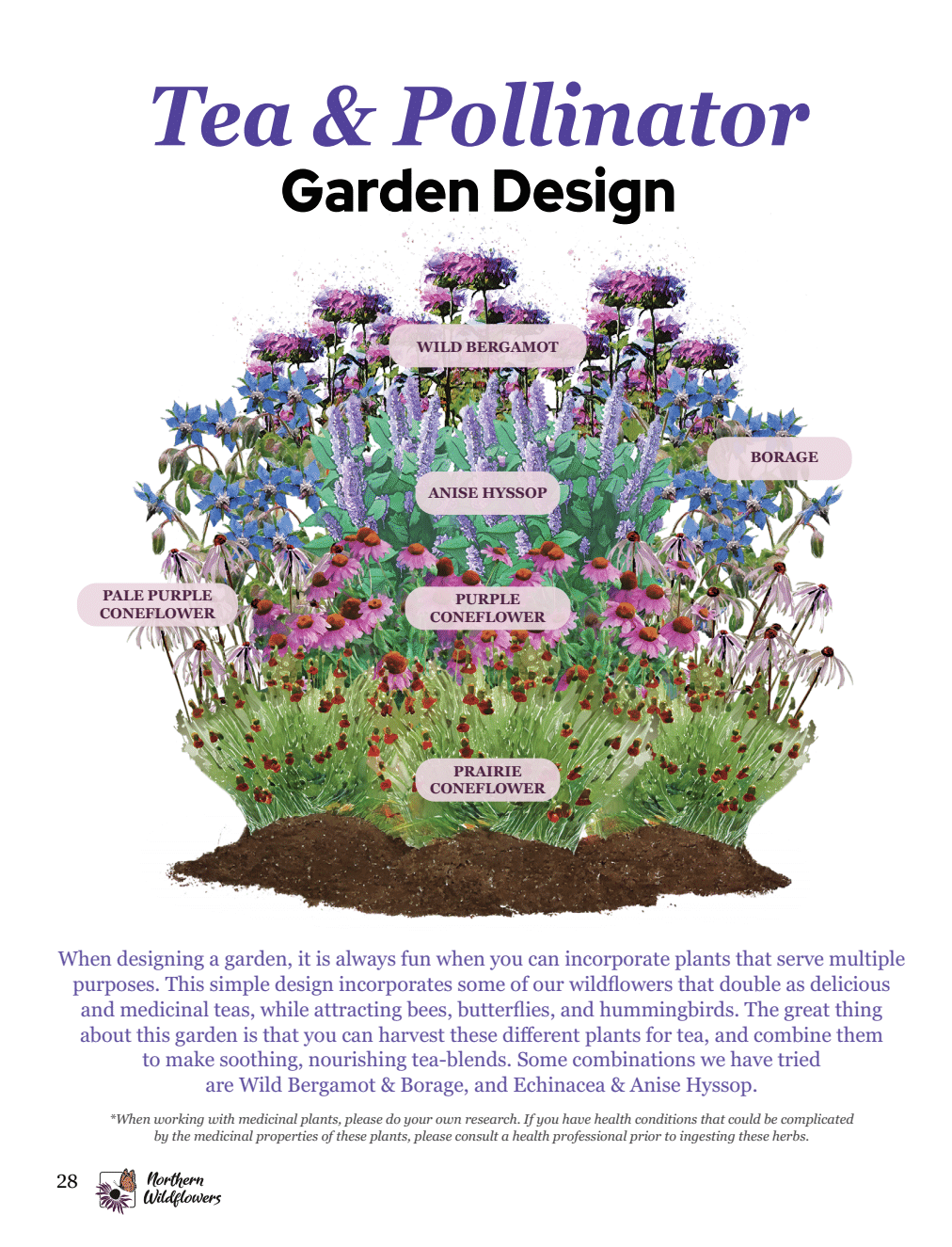 Wild Tea Seed Collection