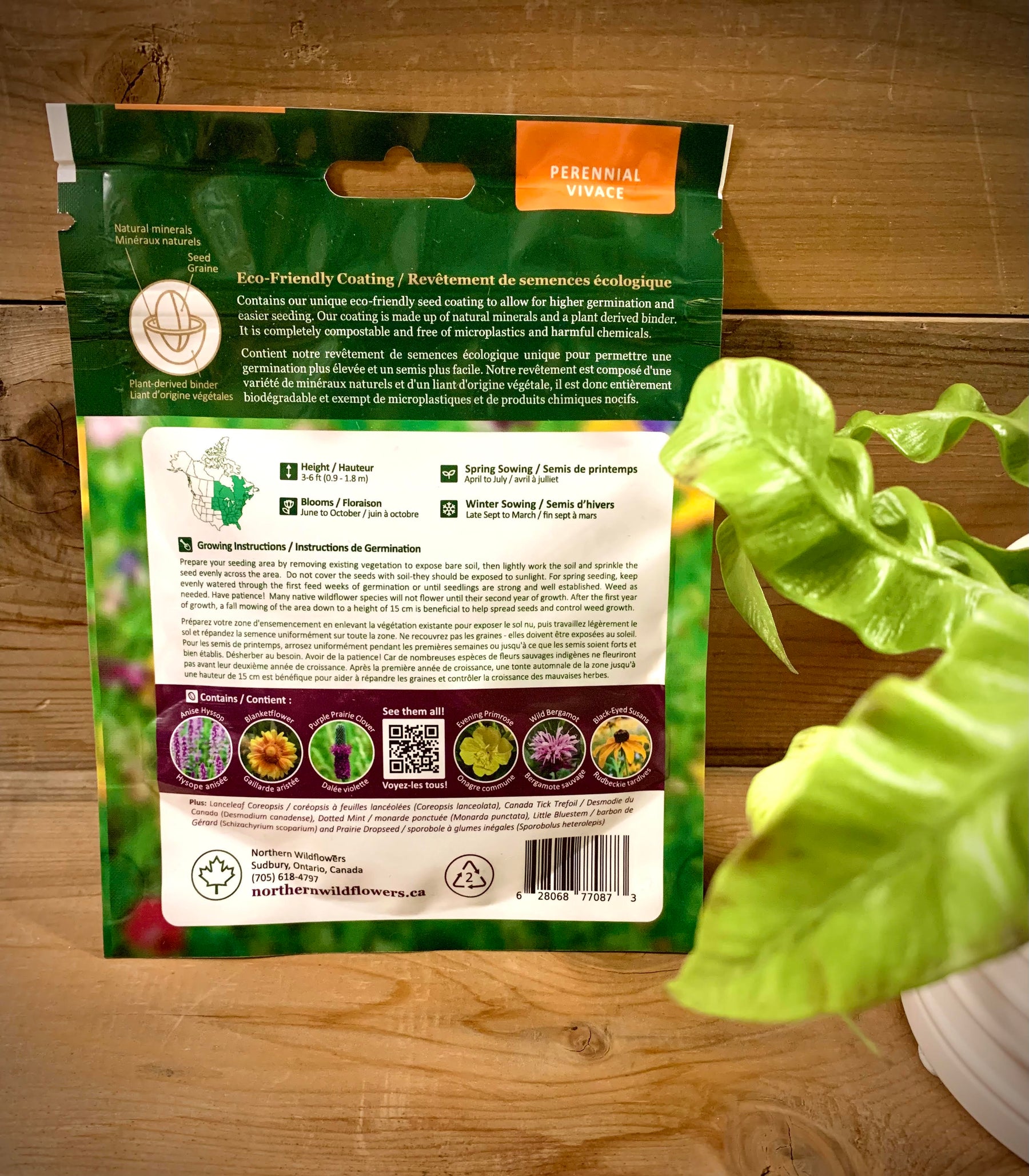 Easy to Grow Wildflower Seed Mix