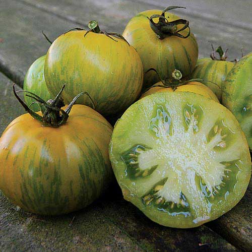 Tomato, Green Zebra (organic)