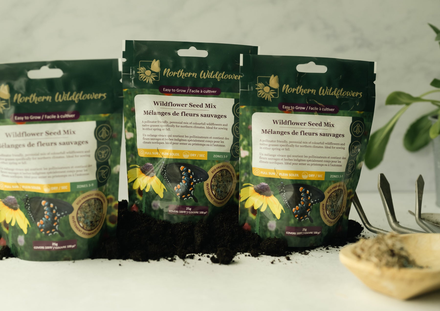 Easy to Grow Wildflower Seed Mix