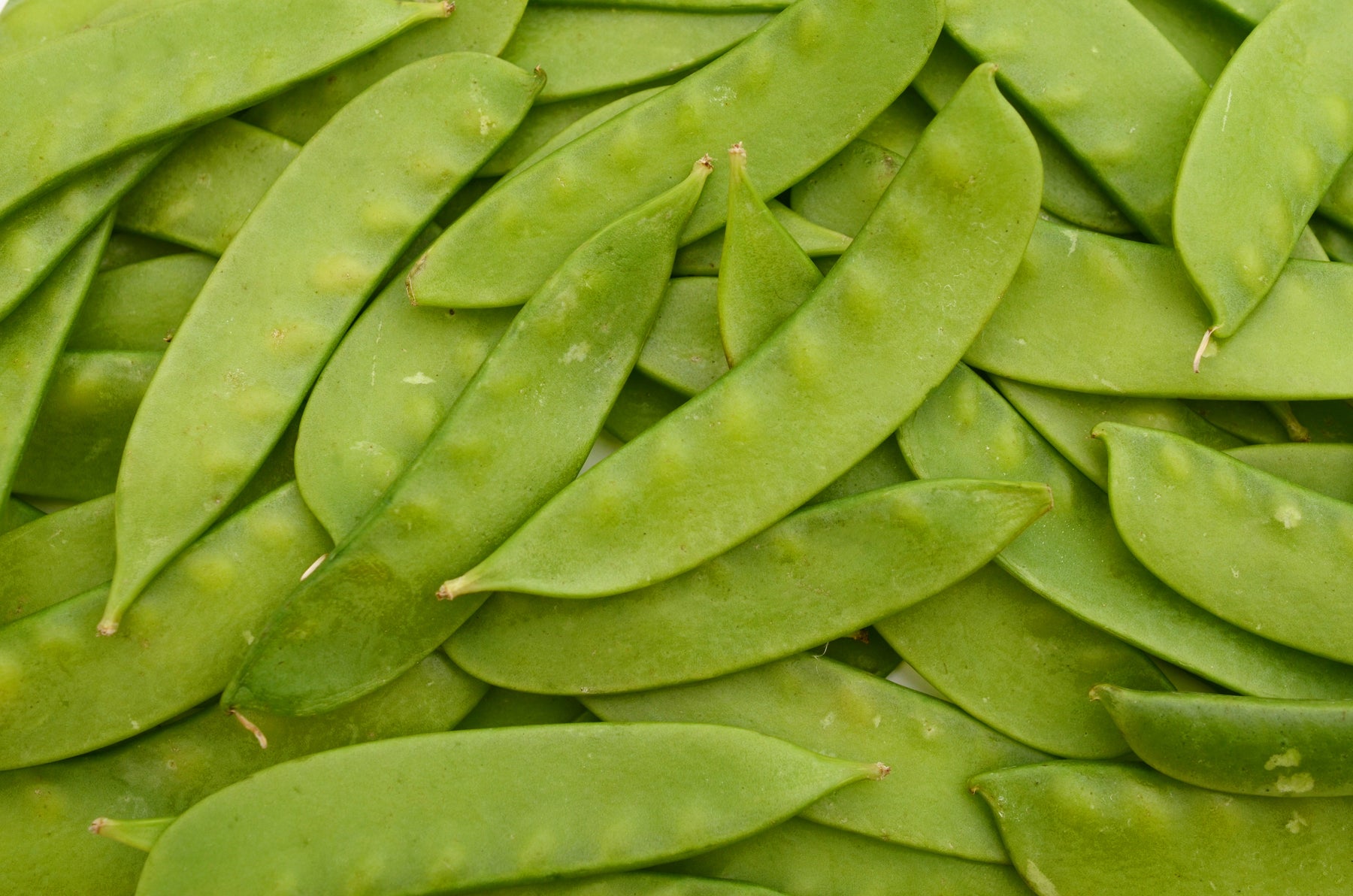 Collecte de conteneurs