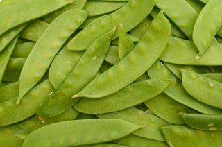 Container Collection