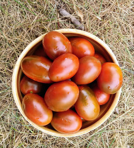 Collection de tomates héritages