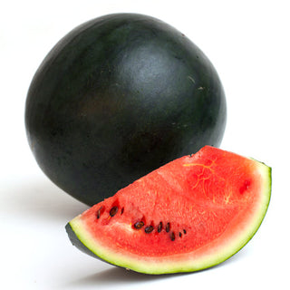 Watermelon, Blacktail Mountain Seeds