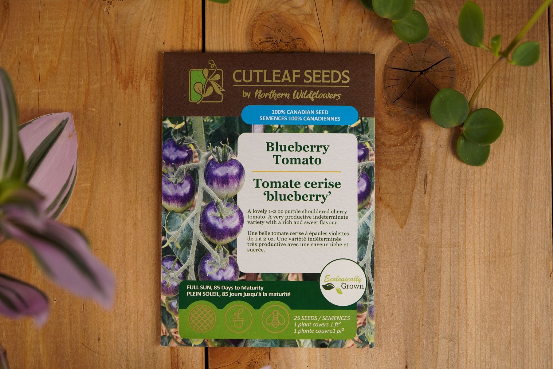 Tomate cerise 'blueberry'