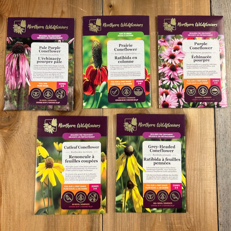 Coneflower Collection Seeds