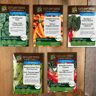 Seeds for Container Collection