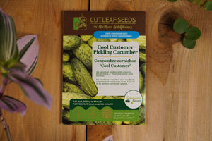 Concombre cornichon 'Cool Customer'