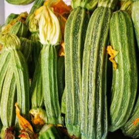 Zucchini, Costata Romanesco Seeds